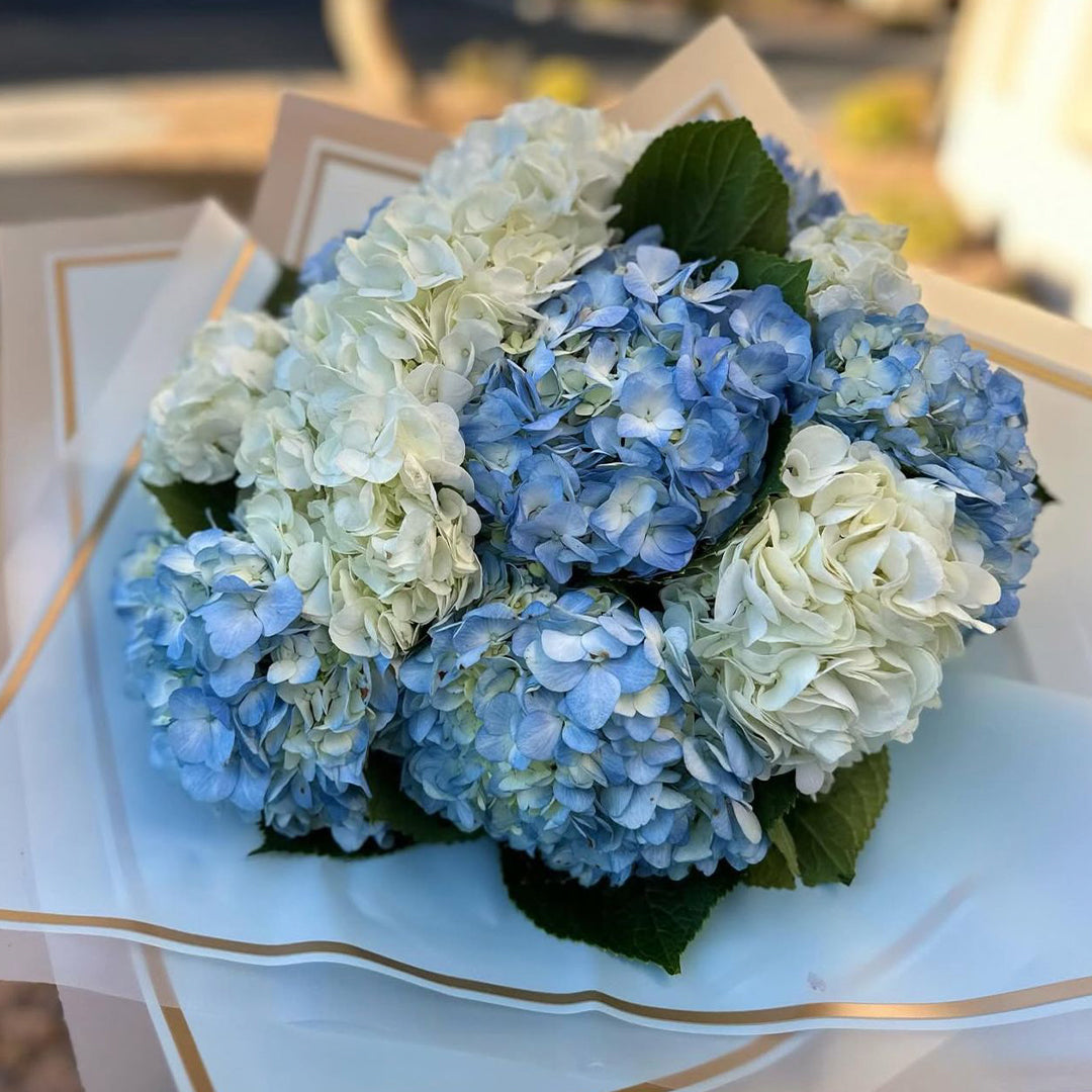 Ramo de Hortensias