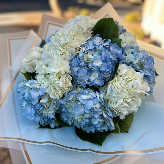 Ramo de Hortensias